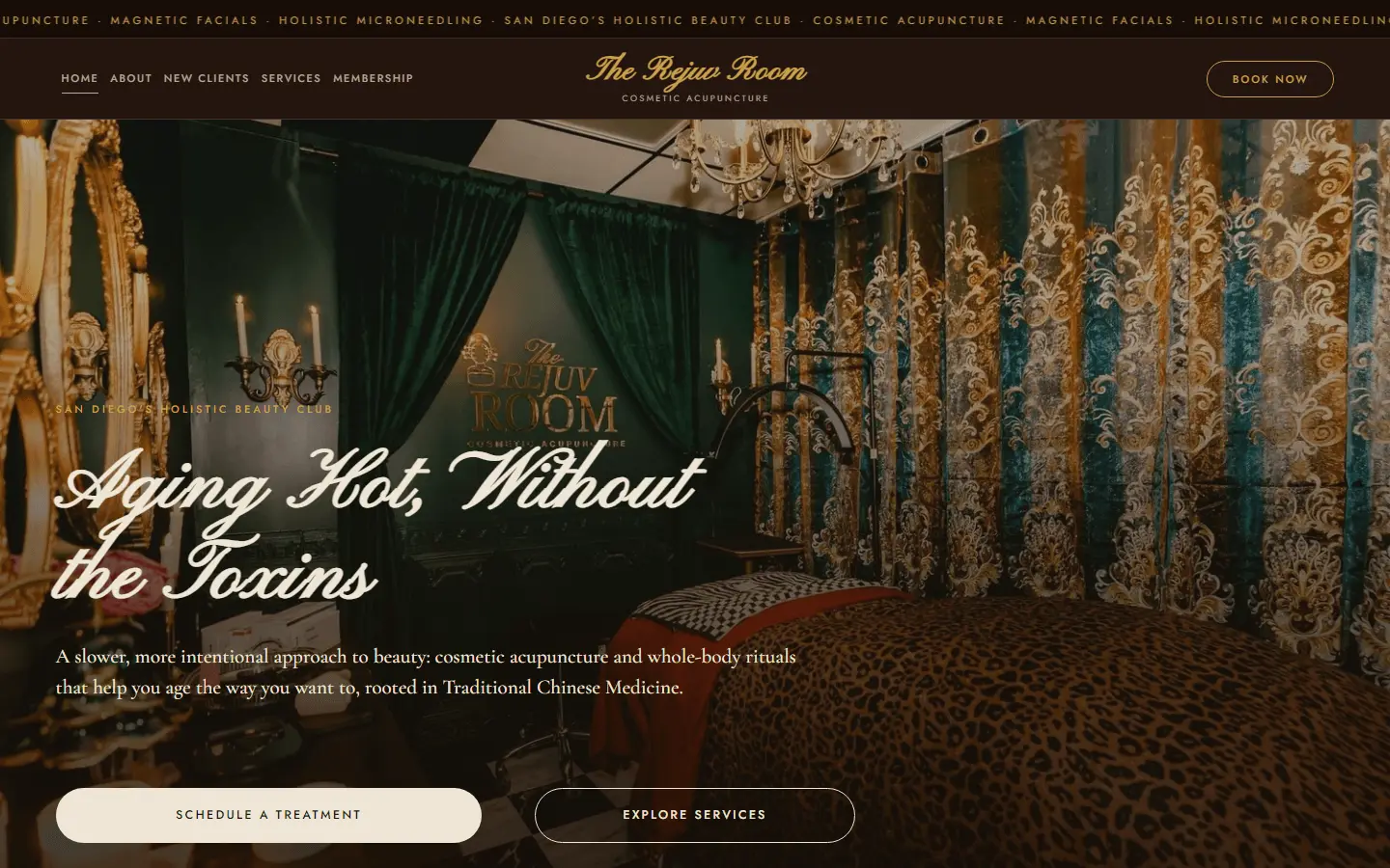 The Rejuv Room website on desktop